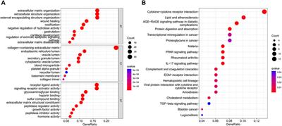 Cellular Senescence-Related Genes: Predicting Prognosis in Gastric Cancer